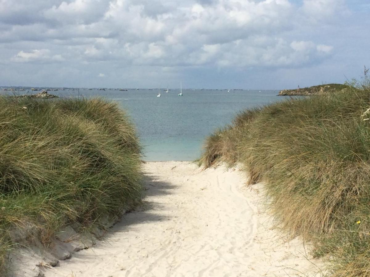 Beech Hut - A Streamside Family Escape Near Salcombe And Beaches South Milton Exteriér fotografie
